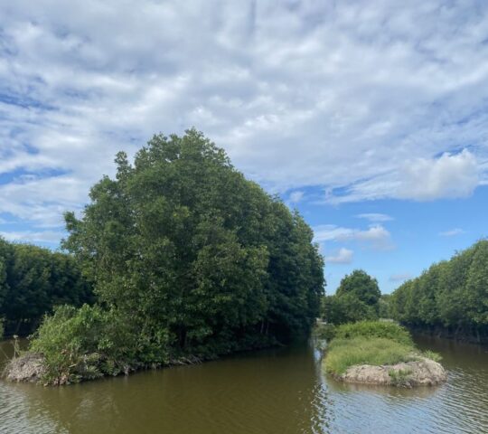 184 Ngoc Hien Fishing Grounds 184 Ngoc Hien Fishing Grounds