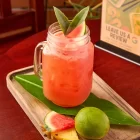 Roly Poly Fresh Spring Rolls