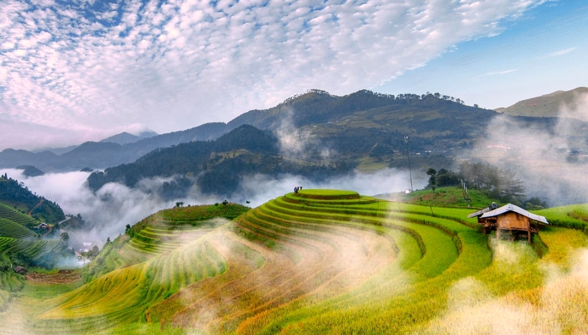 Mu Cang Chai: Ultimate Travel Guide 