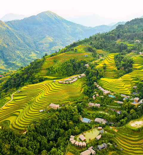 Mekong Delta Travel Guide: Everything You Need to Know