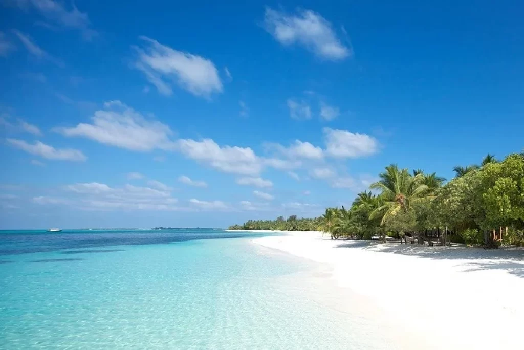 Top 5 Da Nang Beaches You Should Visit for a Perfect Coastal Escape