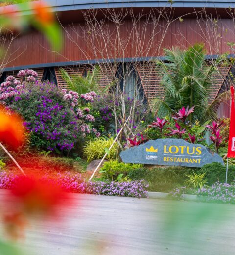 Exploring 4 Hidden Cafés in Hanoi Loved by Locals