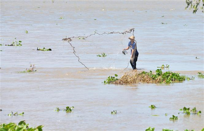 Mekong Delta in rainy season