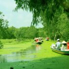 Quang Ninh’s Specialities: Top 11 Must – try Dishes