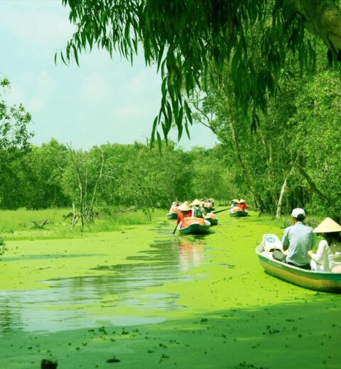 Ha Giang Loop Activities: Top Things to Do for an Unforgettable Journey