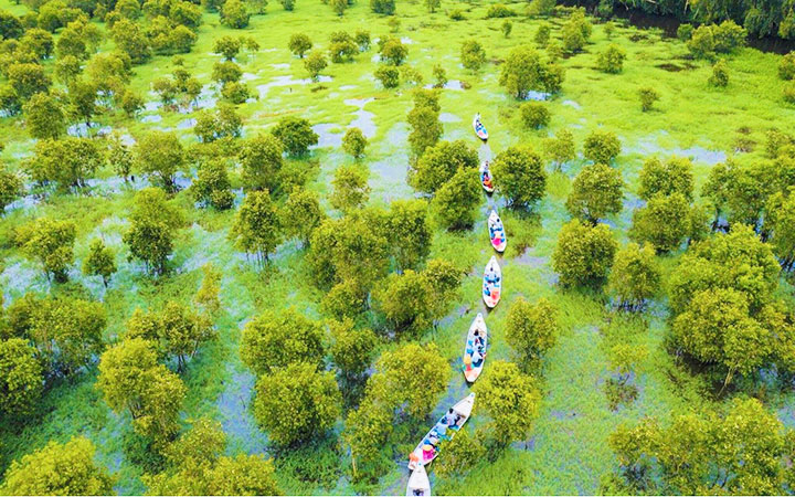 Planning will ensure your Mekong Delta travel experience is smooth and enjoyable.