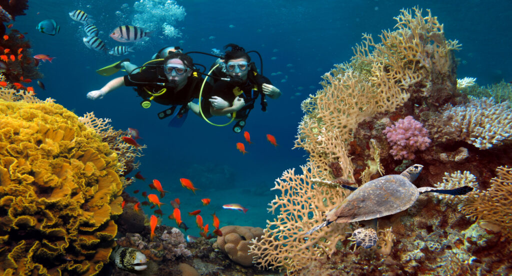 Snorkeling and diving in vibrant coral reefs