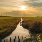 Quang Ninh’s Specialities: Top 11 Must – try Dishes