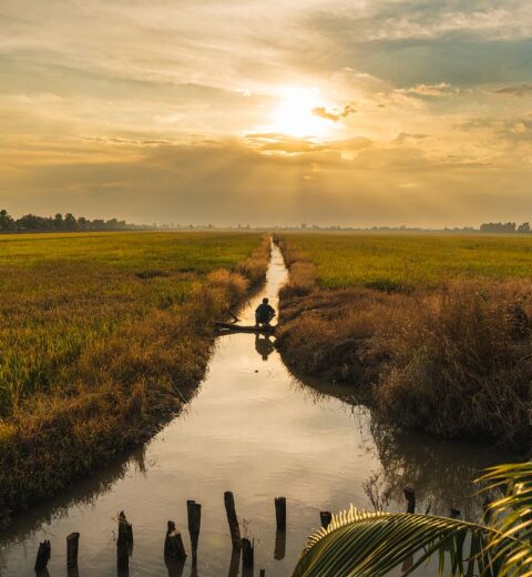 Dental Tourism in Vietnam: Save Up to 70% on Implants & Veneers