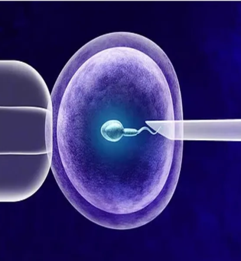 LASIK Surgery in HCMC: Top Clinics and Recovery Tips for Travelers