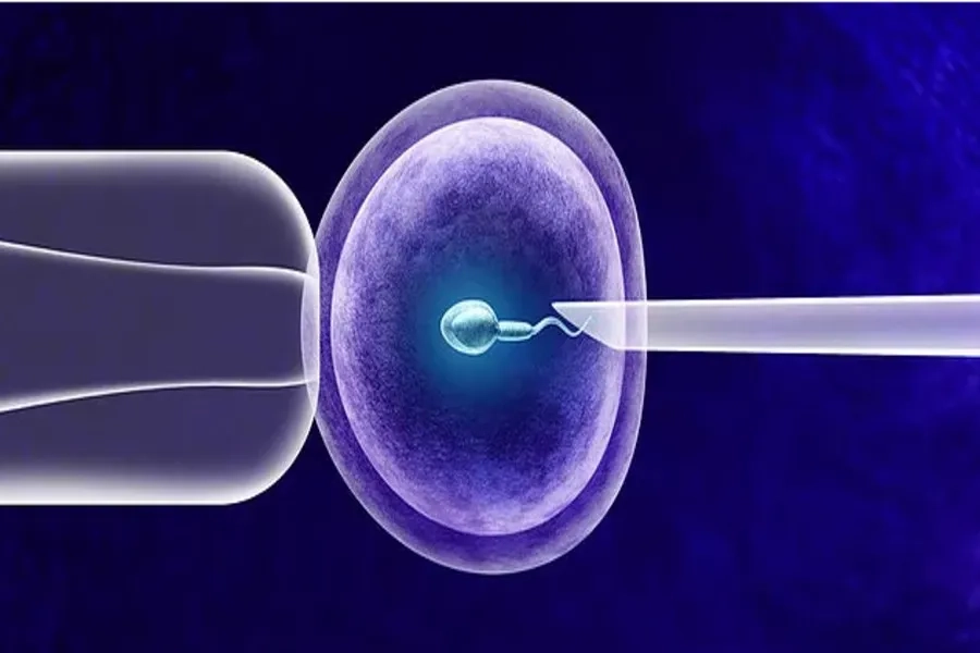 IVF in HCMC: Top Clinics for Trusted Fertility Treatment